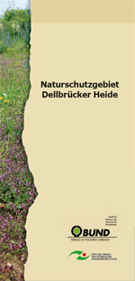 Faltblatt Dellbrücker Heide mit Wegeplan als PDF